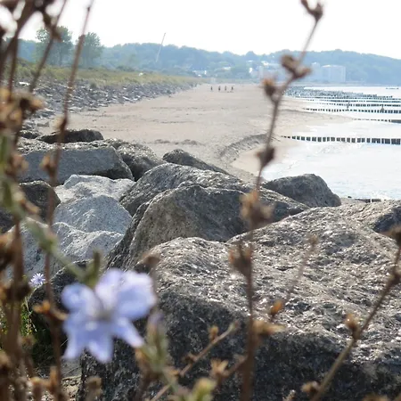 Fachwerkhaus Am App 4 *